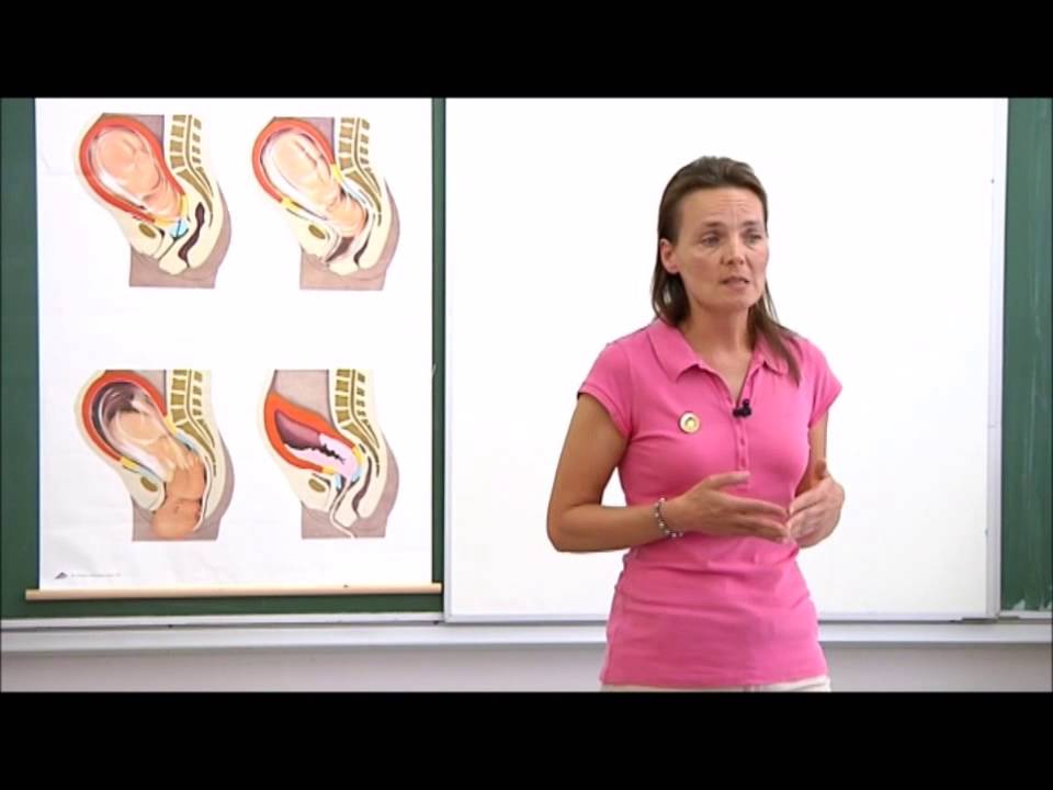 Početak poroda – kada je potrebno krenuti u rodilište