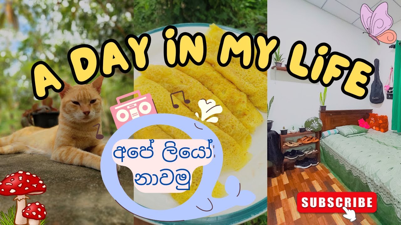 පූසා නාවන්න ගිහින් වුන දේ..🥲🐱 | Day in my Life ||  පෑන්කේක් Recipe 🫔