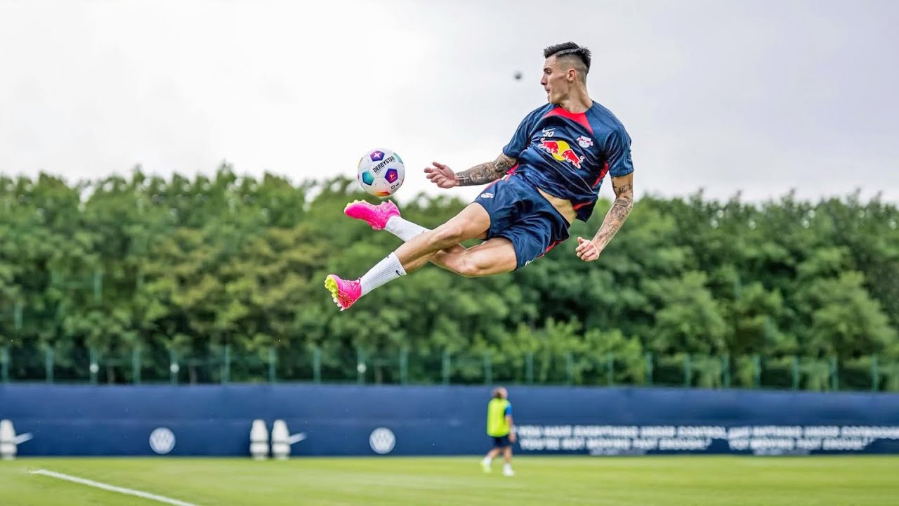 Benjamin &Scaron;e&scaron;ko Non-Human Skills & Goals