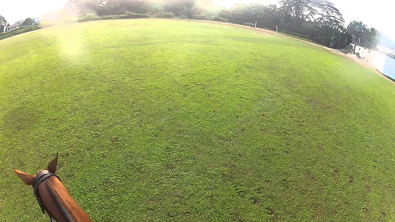 BP POLO Practice: July 13