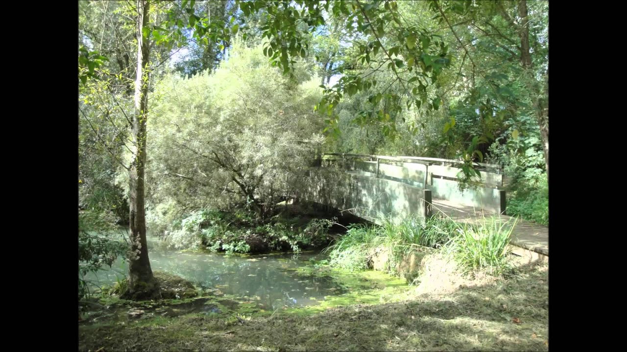 MARMANDE (47)
