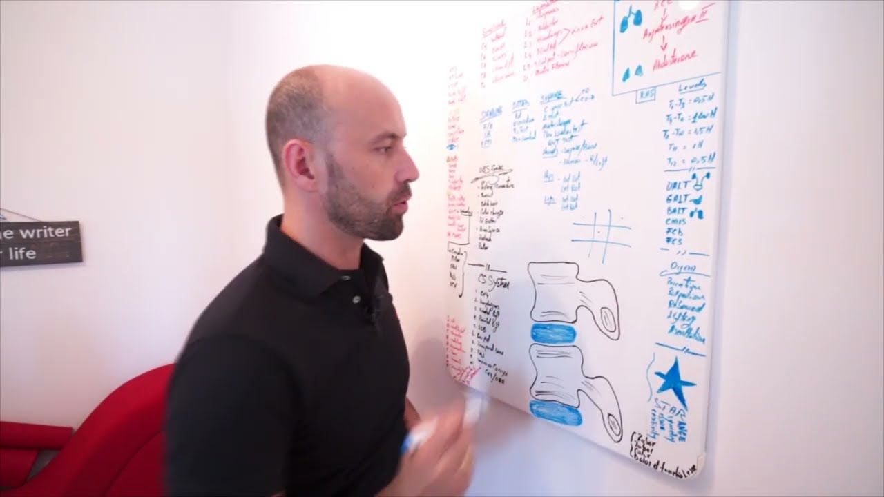 LA OSTEOPAT, testul organelor interne