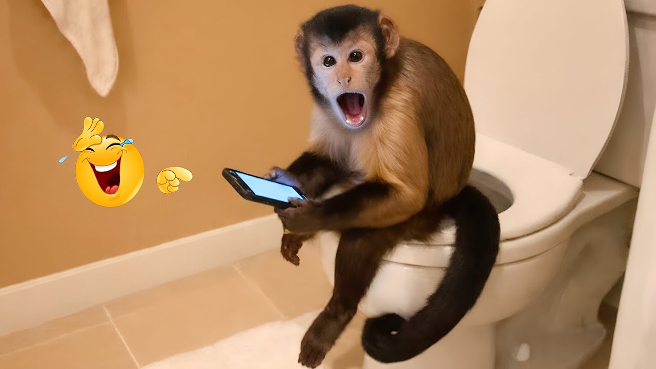 Try Not To Laugh 🤣 Best Of The Funny Animal Videos 🐶