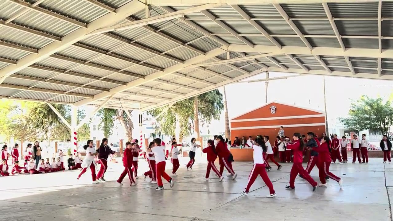 Coreografía infantil run rudolph run - festival navideño
