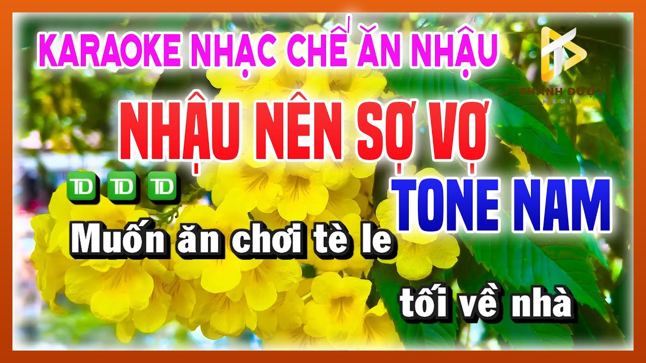 Karaoke NHẬU NÊN SỢ VỢ - Nhạc Chế Ăn Nhậu TONE NAM