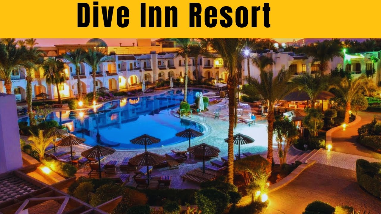 Dive Inn Resort Sharm El Sheikh Review – Best Red Sea Diving & Beachfront Stay
