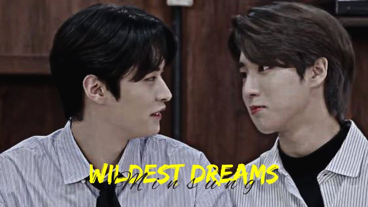 Wildest Dream || Minsung || FMV