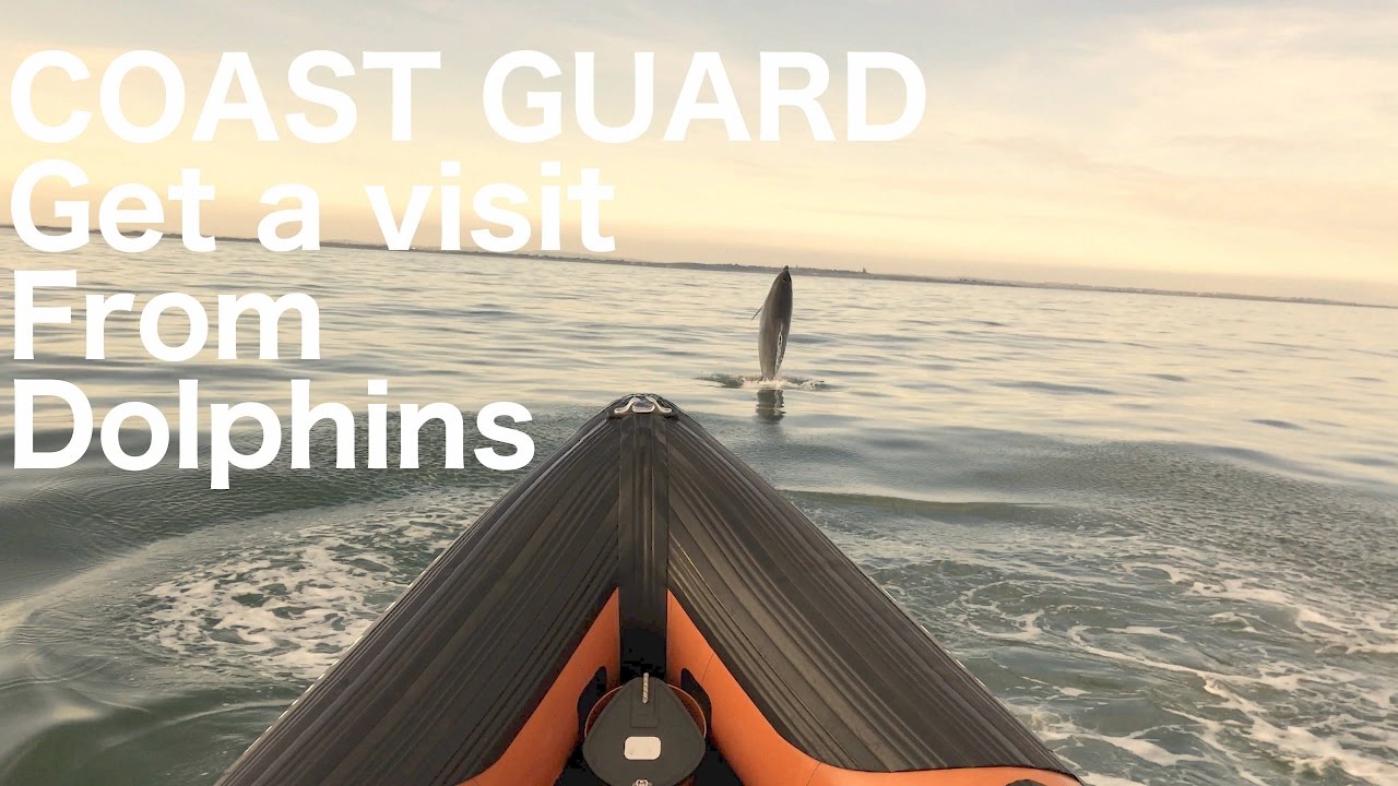 The Irish Coast Guard get a visit from Dolphins in Dublin