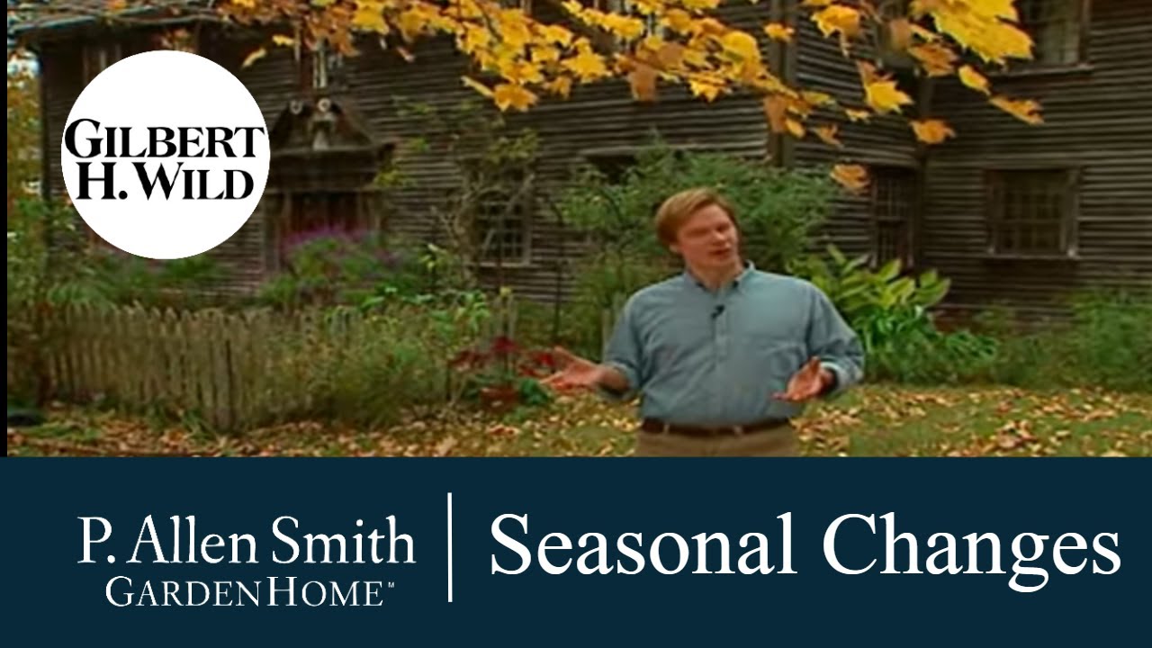 Seasonal Changes in the Garden | Garden Home (303)