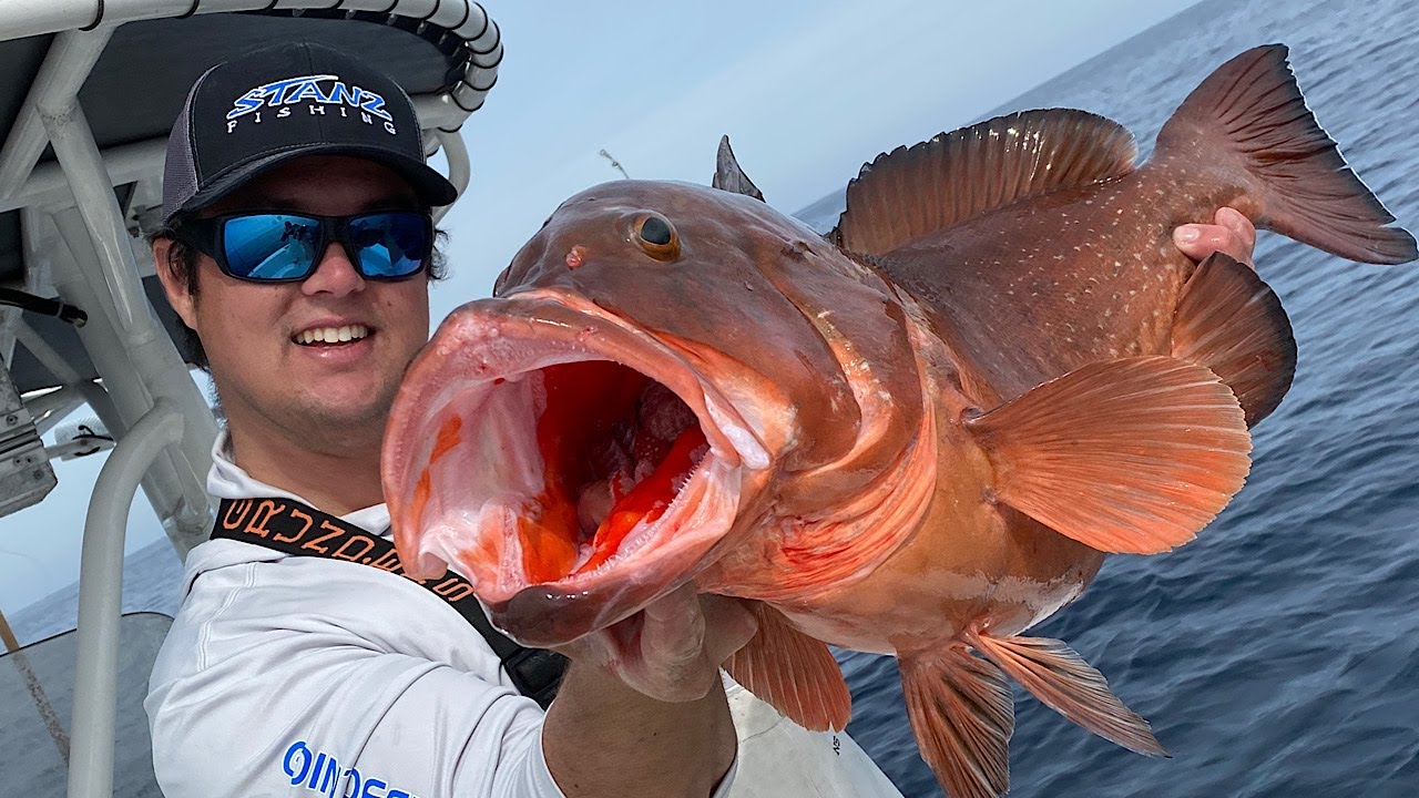 *GIGANTIC* PUDDIN' HEAD GROUPER {Catch, Clean, Cook}