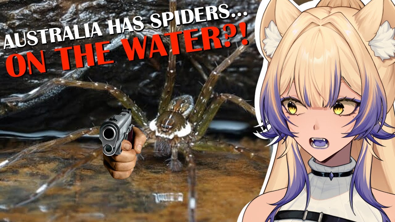 I REFUSE to Believe Australia is Real...WHY ARE THERE WATER SPIDERS!? | More Parz Reaction