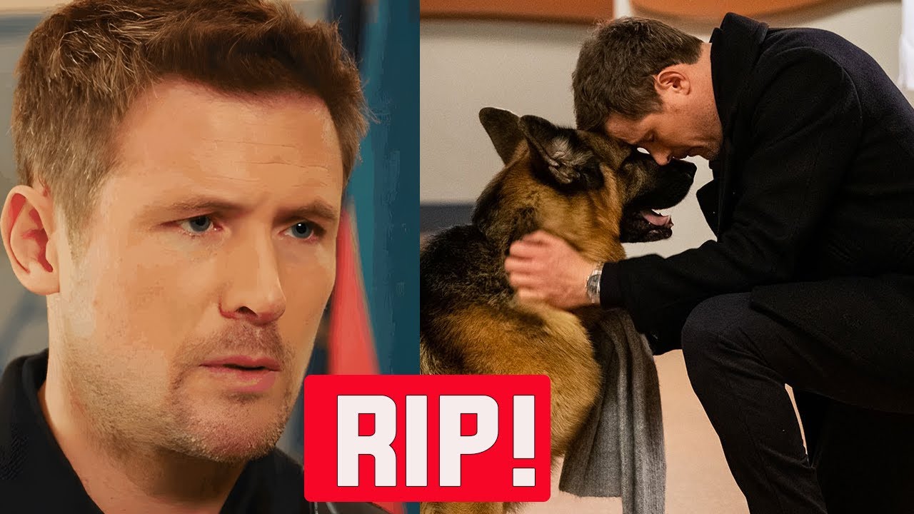 Hudson & Rex Beloved Star Tragically Passed Away
