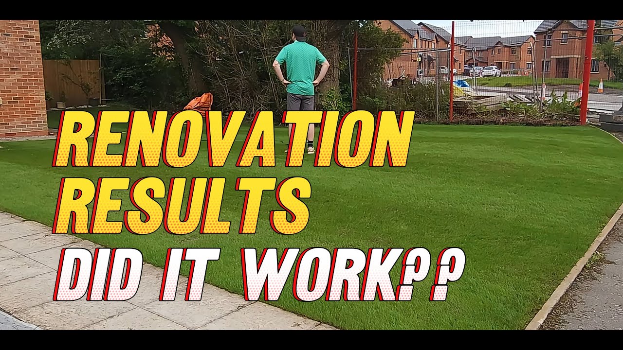 How Soon Can I Cut & Feed My Renovated Lawn? //  12 Day Lawn Renovation Results