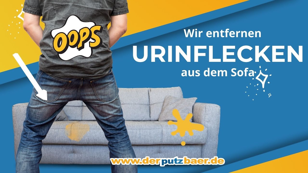URINFLECKEN aus dem Sofa RAUS| Wie entferne ich Urinflecken?
