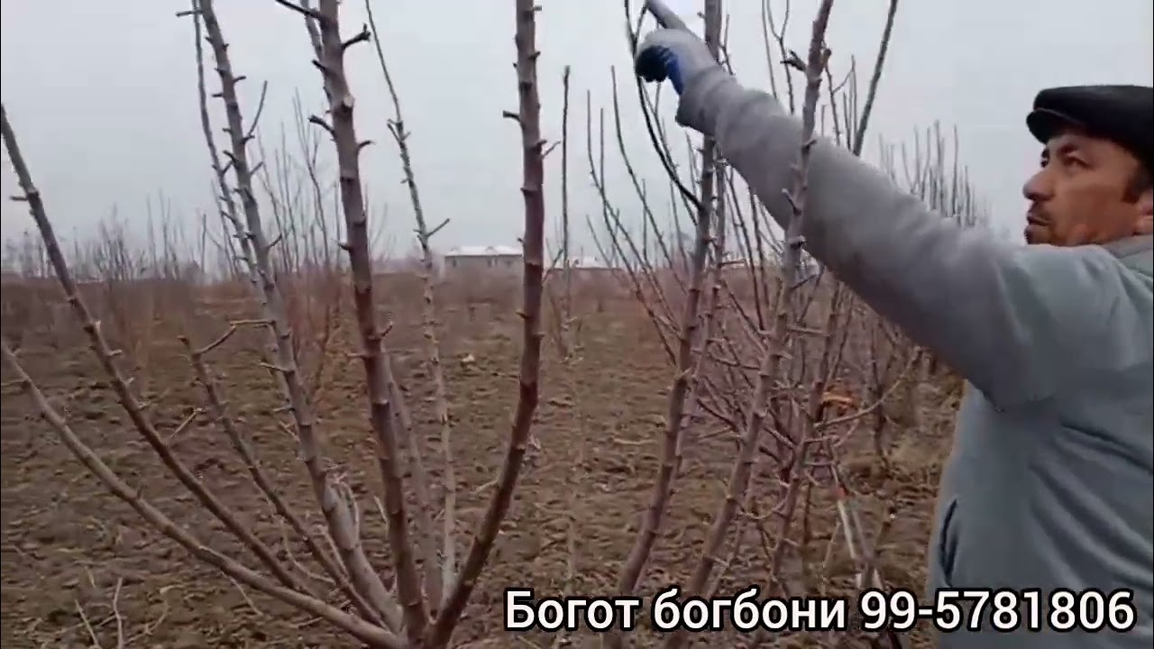 Шакл бериш жараёни