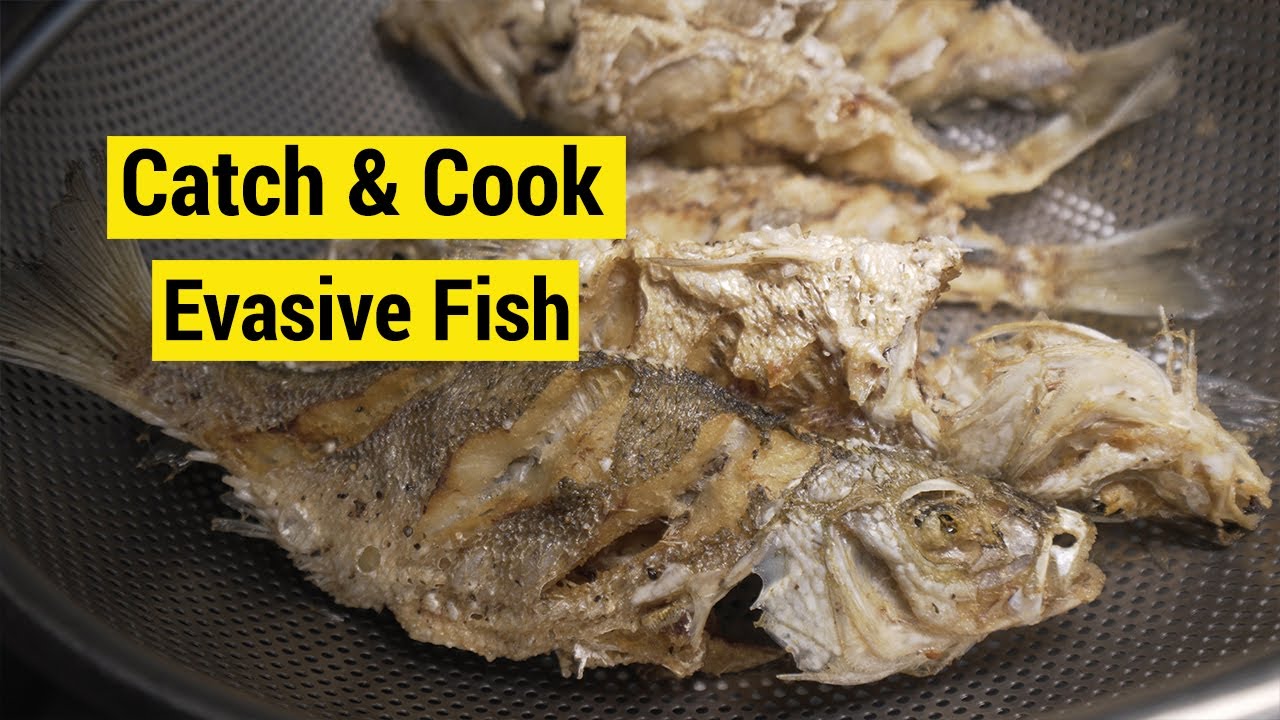 EVASIVE Species! | Hmong Cooking | Catch and Cook - OOW Outdoors