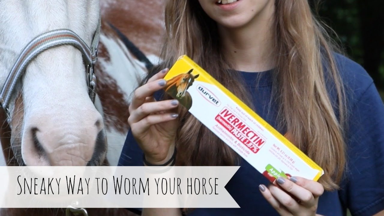 How to Worm your Horse EASIER!