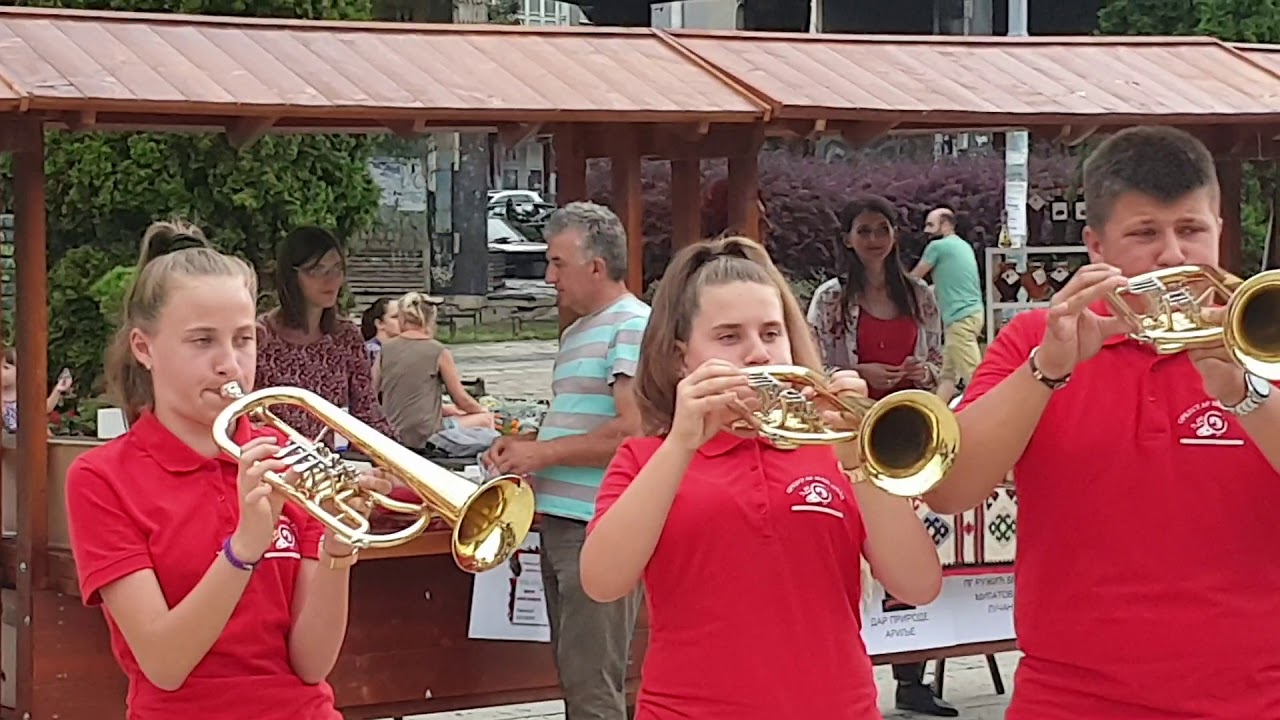 Mladi trubači dr Momu u čast