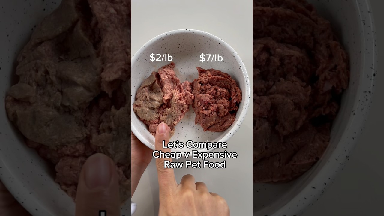 Cheap vs Expensive Raw Pet Food 🥩