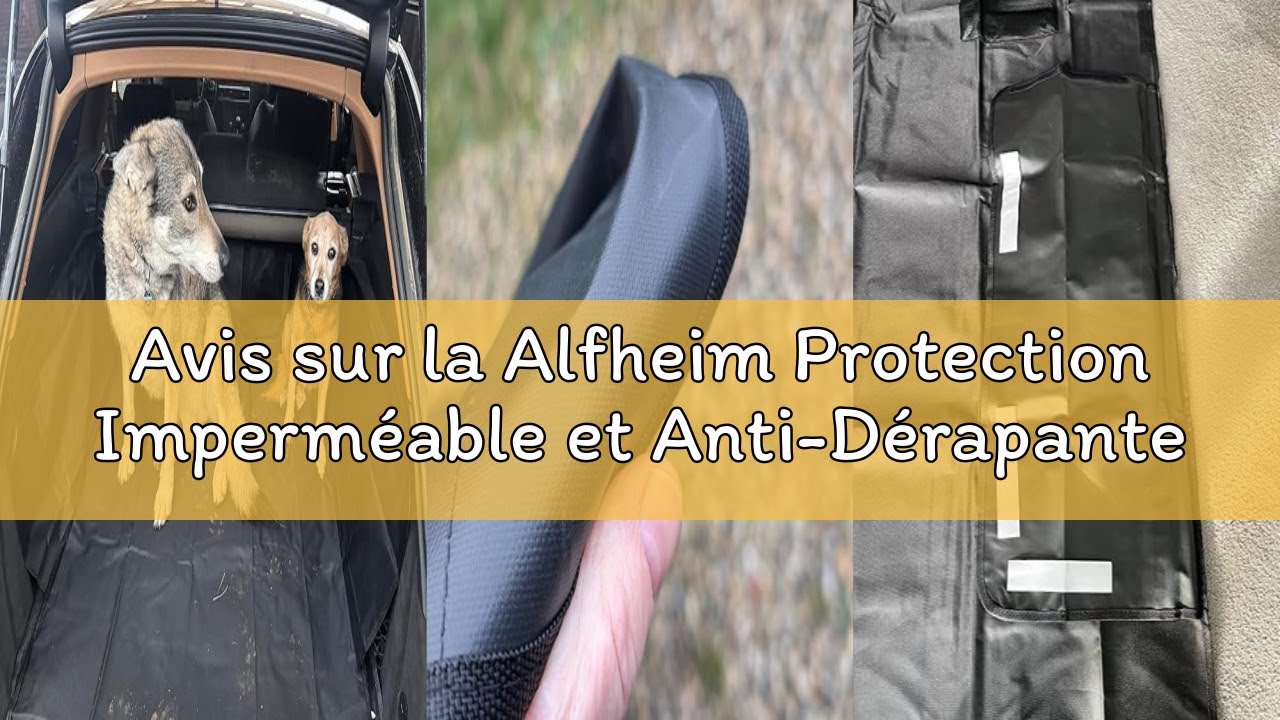 Avis sur la Alfheim Protection Imperméable et Anti-Dérapante pour Coffre de Voiture-Tapis Universel