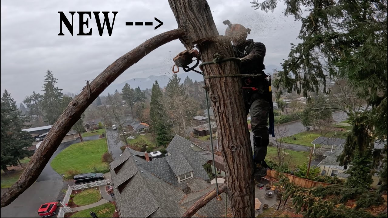 Tree Yanked out by Crane: First Timer Edition!