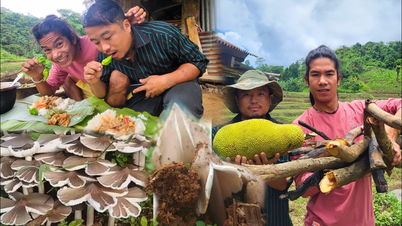 First time  trying Nagaland wild mushroom with Roving naga in nagaland