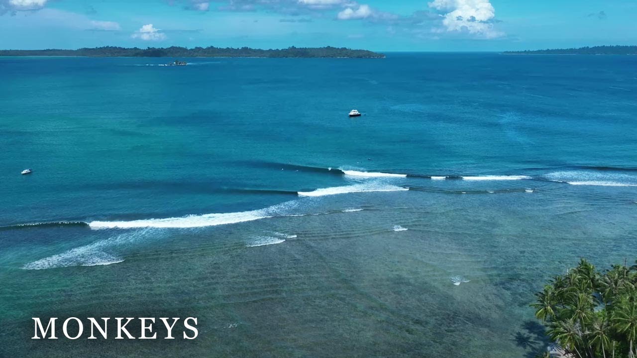 Surfing Telo | Long Right