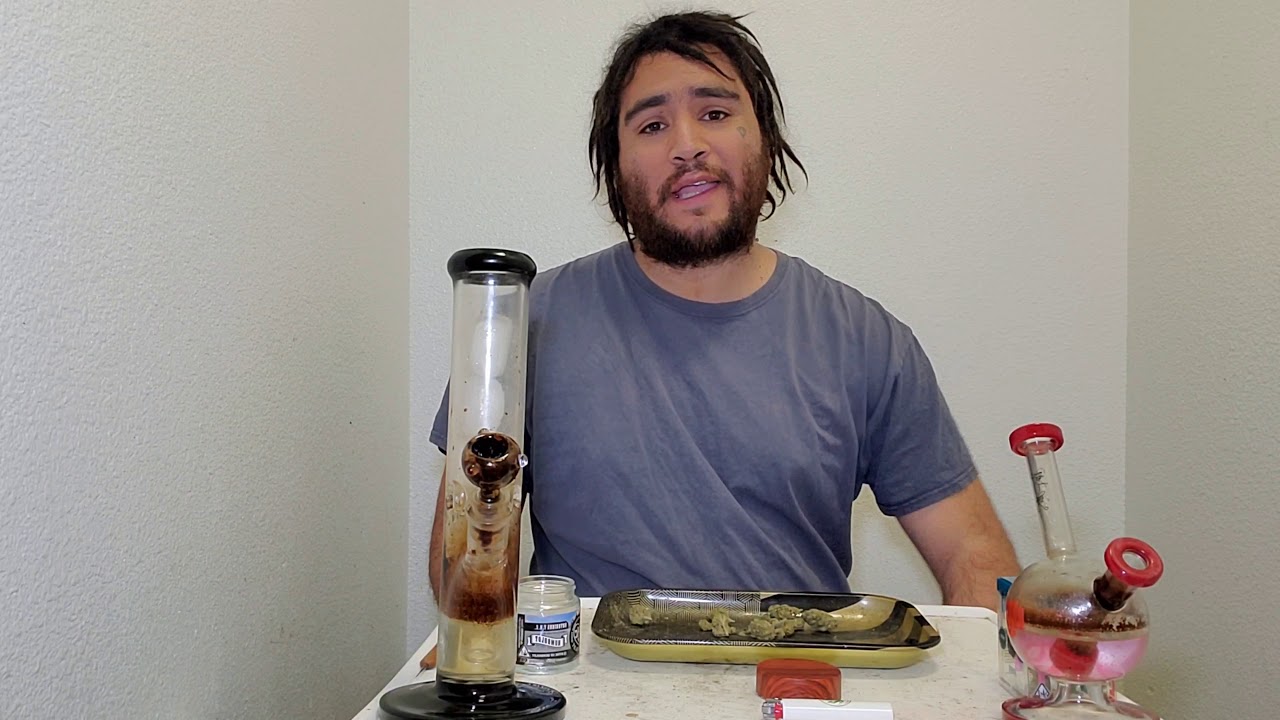 the NOTORIOUS THC strain review  Humboldt County farms