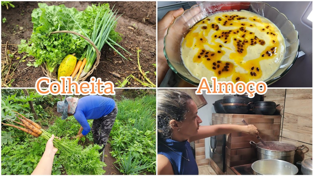 COLHEITA na HORTA + feijoada pro almoço + sobremesa 