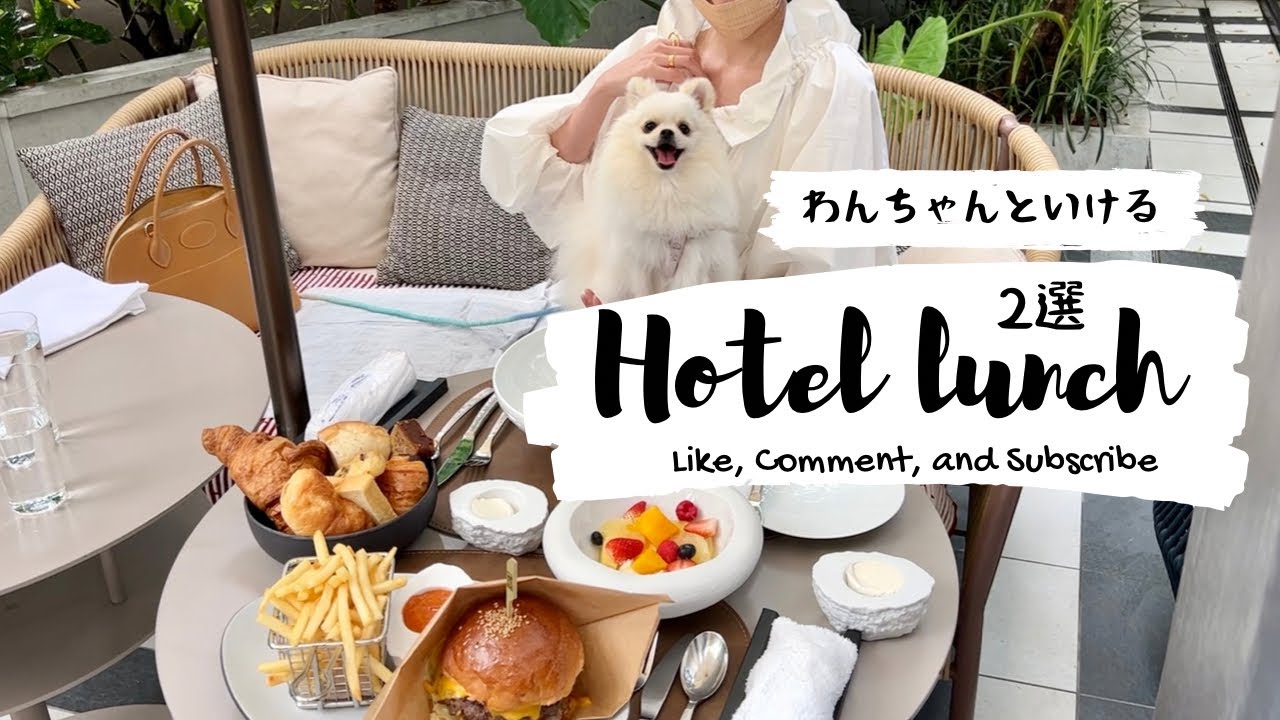 【犬同伴OKのホテルランチ2選】絶対に海外旅行気分になれるおススメレストラン