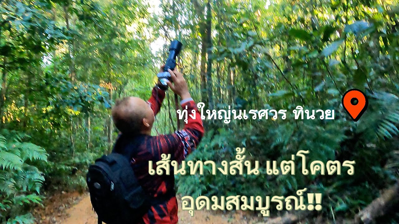 เดินเส้นทางธรรมชาติ ลุ้นเจอสัตว์ป่า ก่อนบอกลาทุ่งใหญ่นเรศวร!