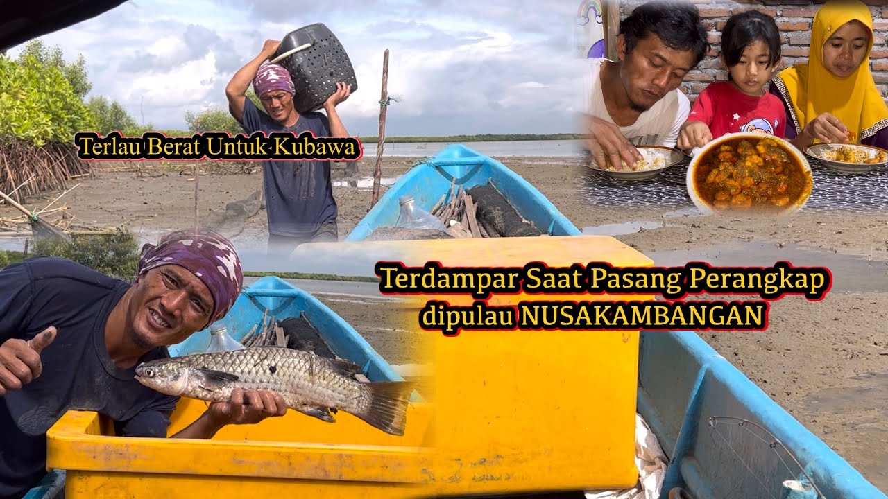 Rejaki Ikan Besar!! Setelah Dapat Bayak Ikan dan Udang Langsung Masak Udang Kecap 