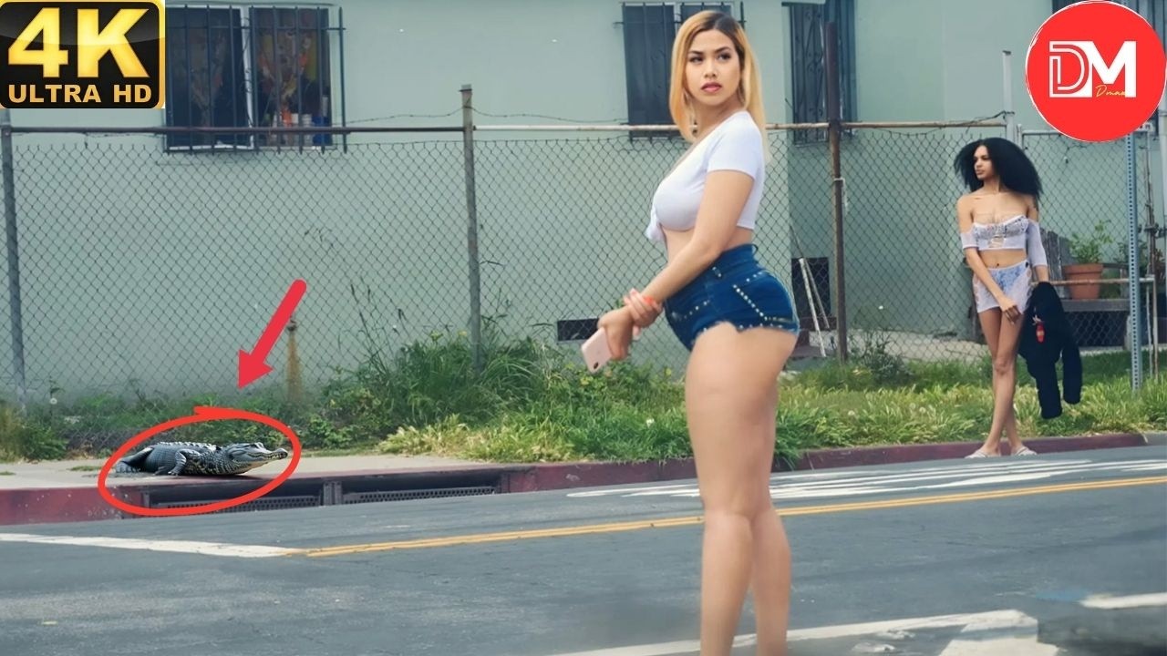 TOTAL IDIOTS AT WORK | Instant Regret Fails Compilation 2026 #522 Best Of The Week