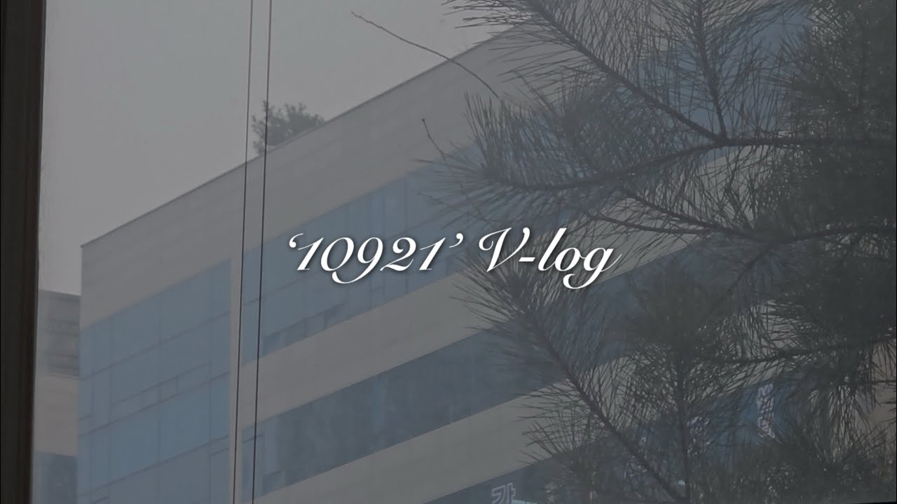 완연한 봄인줄 알았는데 눈이다ㅣ1인 창업자 브이로그 ep.7