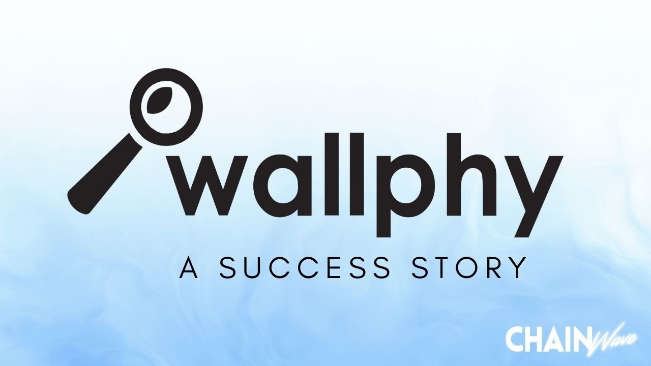How Wallphy Got Their Blockchain Analysis Tool Built On Time & On Budget (with Enhancements)