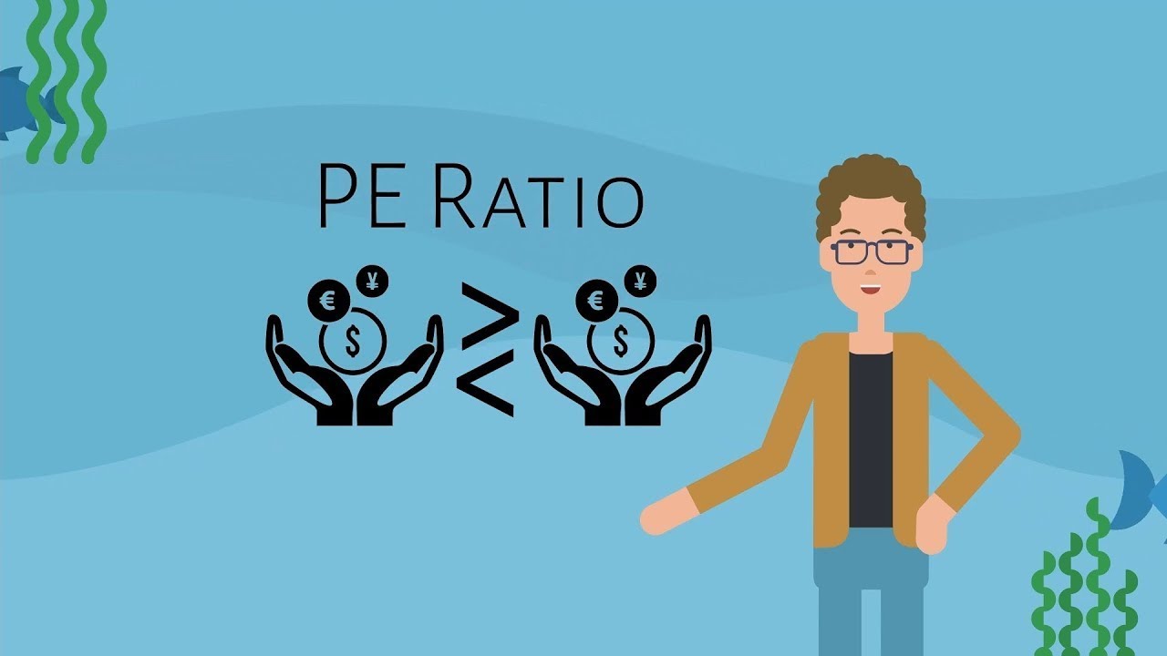 PE Ratio in a Mutual Fund | In Hindi
