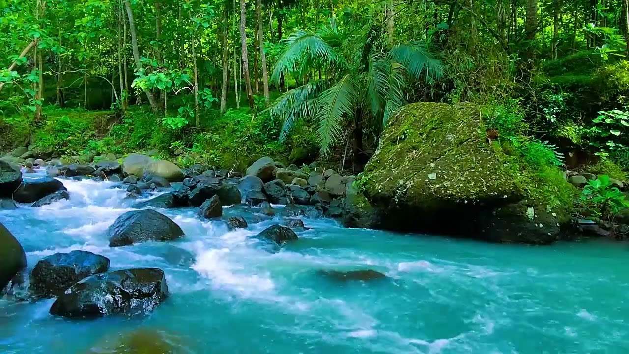 Nature's Calm - Sleep Like a Baby – This Forest Stream Sound Is a Total Game Changer - Deep Sleep