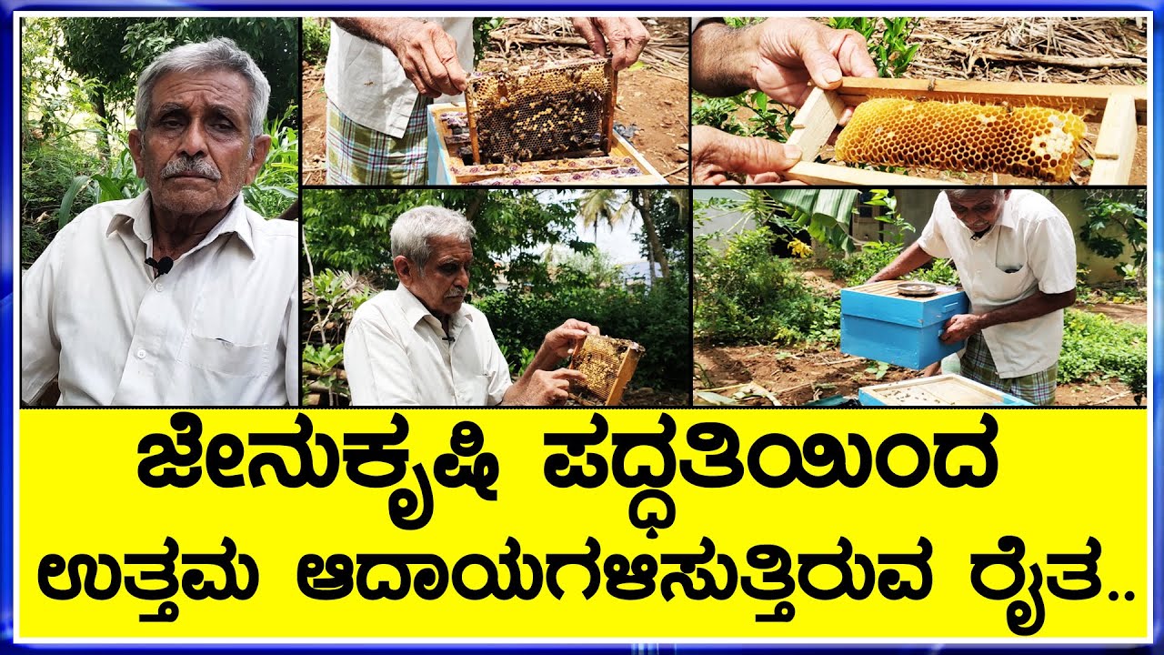 ಜೇನು ಪೆಟ್ಟಿಗೆ ಹೊಂದಿರುವ ಈ ಕೃಷಿಕರ ಜೇನು ಸಾಕಾಣಿಕೆ || | How to start a bee farming business ?