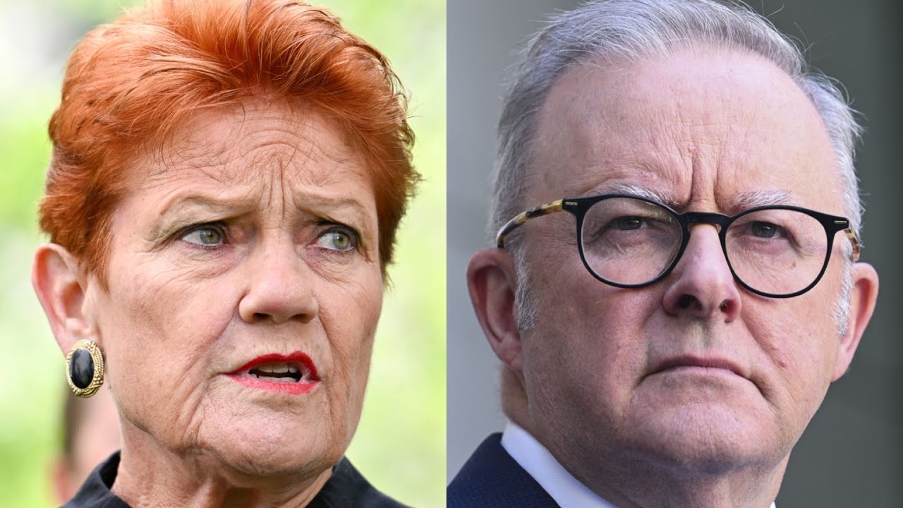 Albanese &lsquo;looking like a fool&rsquo; after claim 'Fire the Liar' donations could be fake