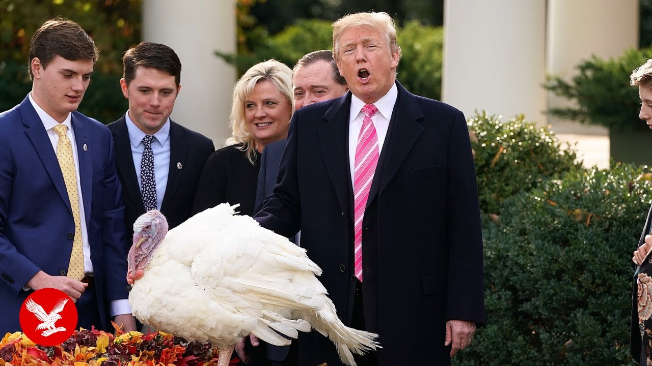 Trump insults Biden, Pelosi and Schumer during turkey pardoning
