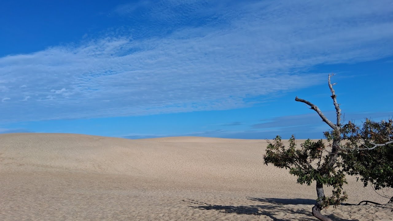 Morning at Jockey's Ridge 