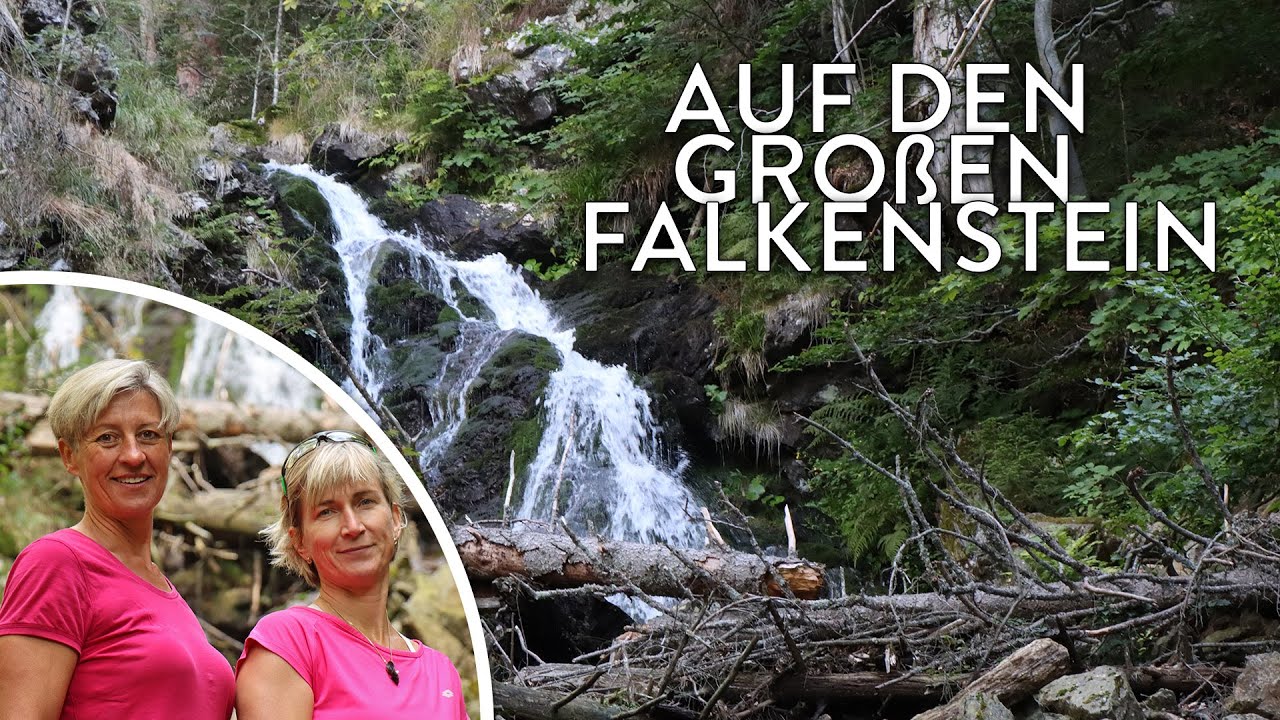 Wanderung auf den Großen Falkenstein ⛰️ - Touren-Tipp im Nationalpark Bayerischer Wald