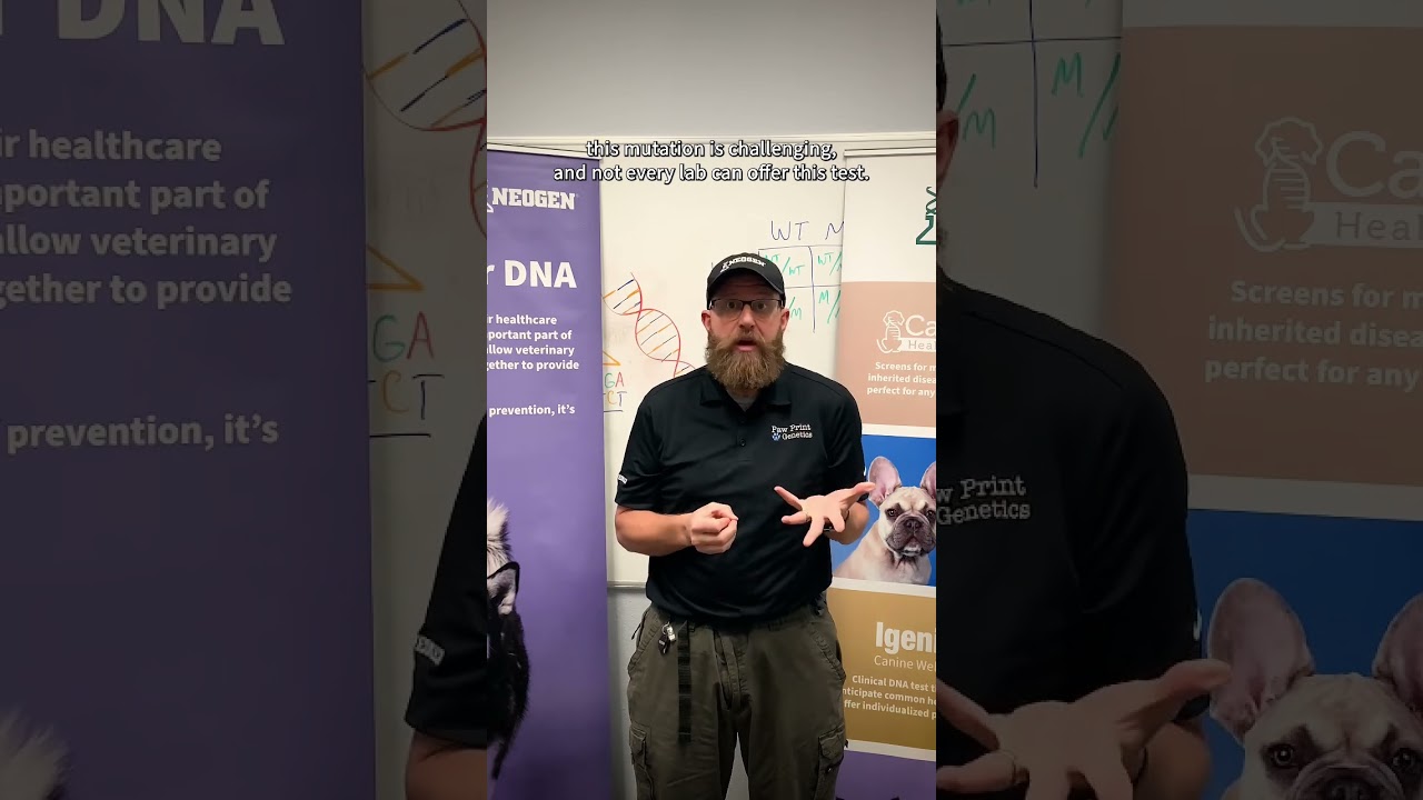 Let&rsquo;s talk #Lafora disease - part 2