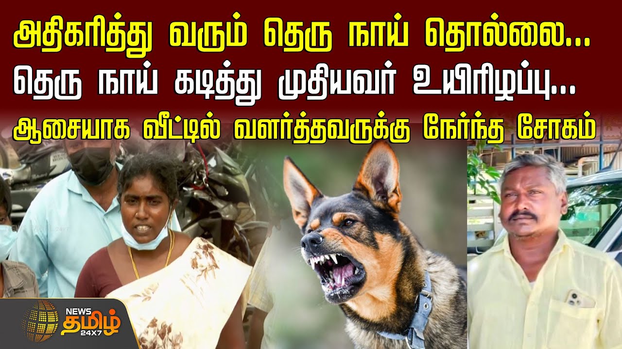 அதிகரித்து வரும் தெரு நாய் தொல்லை... ஆசையாக வீட்டில் வளர்த்தவருக்கு நேர்ந்த சோகம் | Salem Rabies