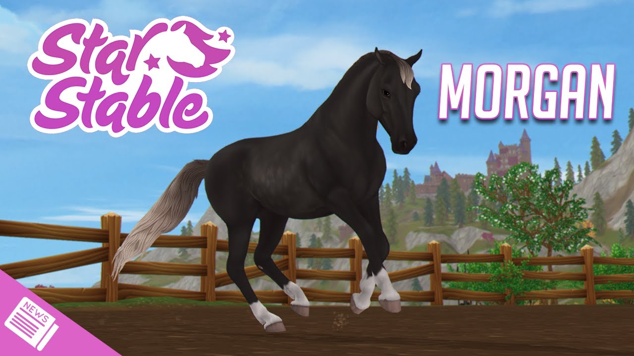 ACHAT DU MORGAN | Star Stable - SSO