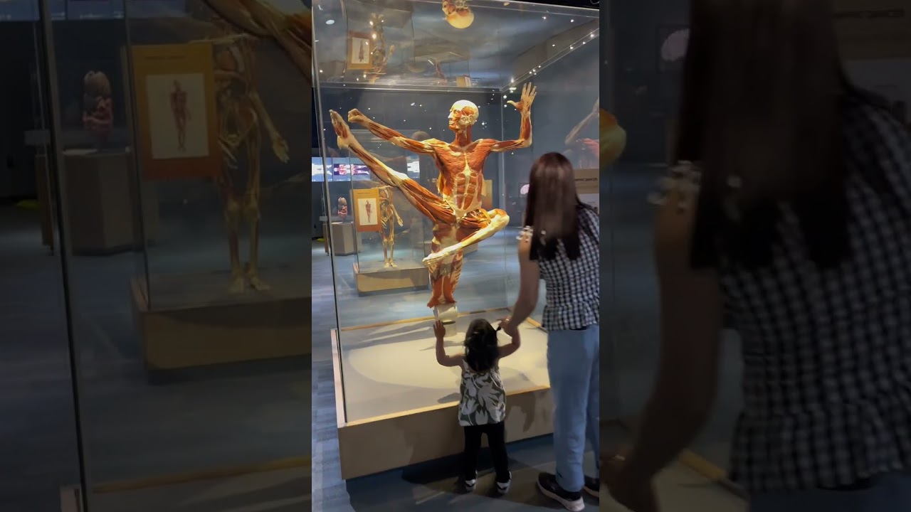 The Tech Interactive Museum (walk around) #kidsentertainment #kidslearning 