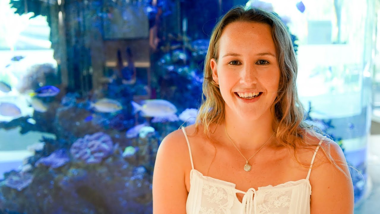 Discover JCU's Bachelor of Marine Science