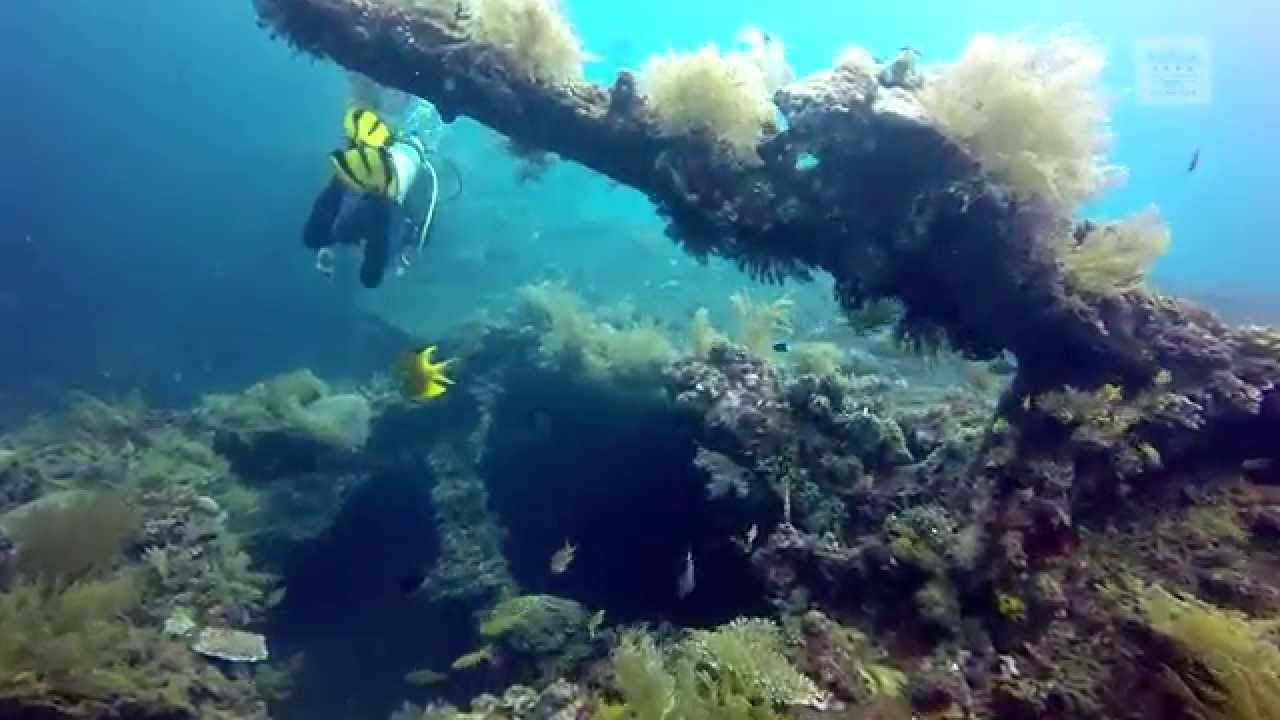 Bali Tulamben Diving Tauch Terminal Resort Gopro Underwater-HD 巴里島土藍奔潛水