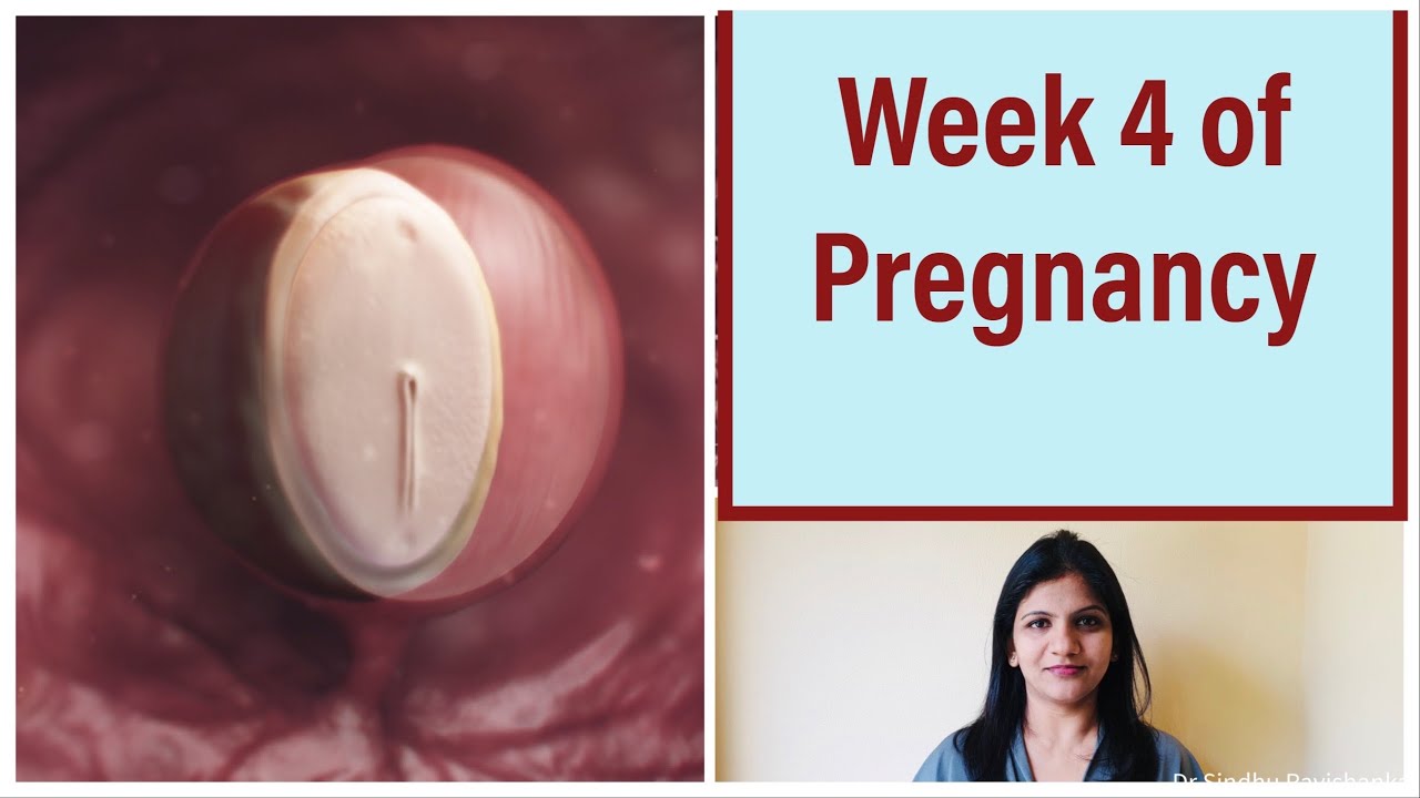 Week 4 of Pregnancy - Weekly Pregnancy Tips in Kannada (1st Month of Pregnancy)