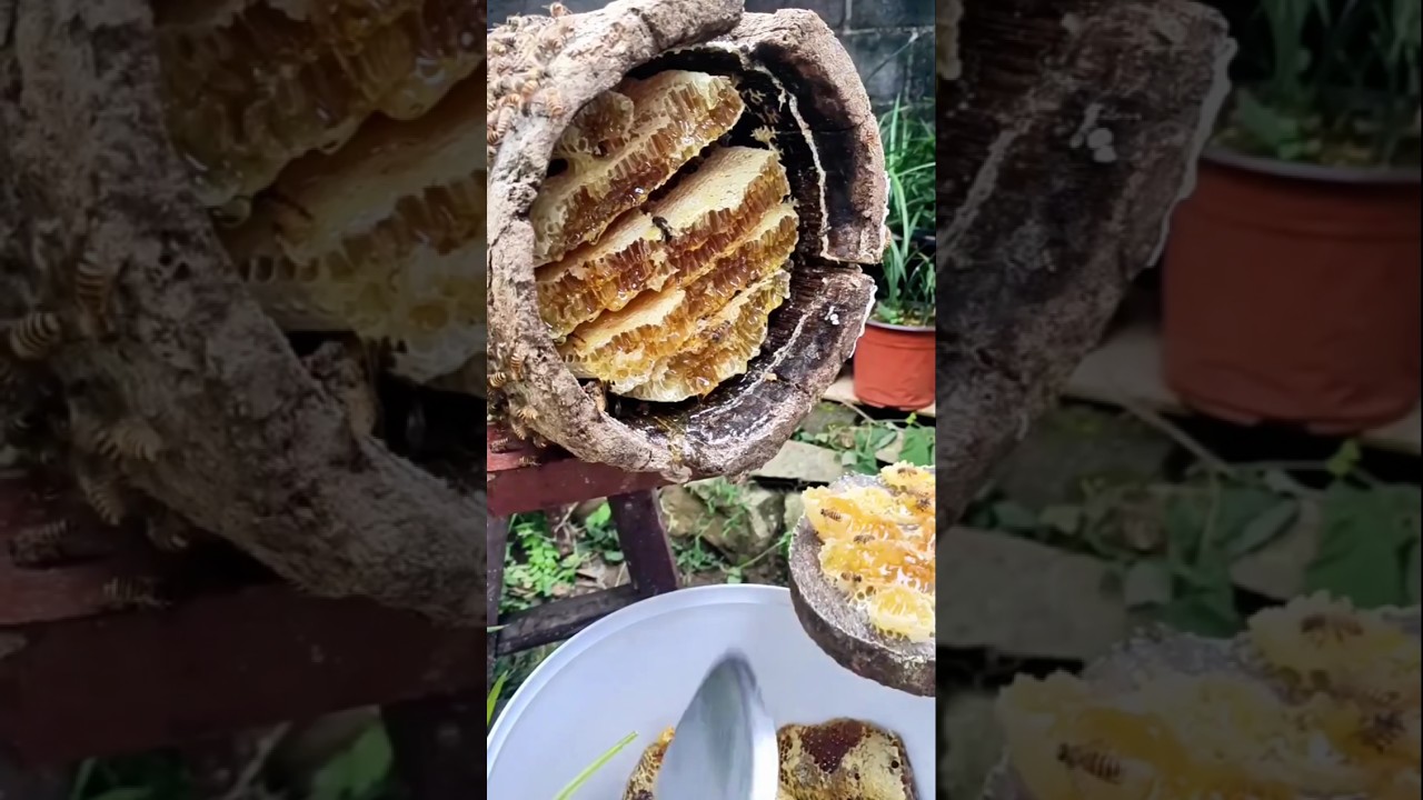 Необработанный медовый порыв из секретной трубки 🍯✨ 
